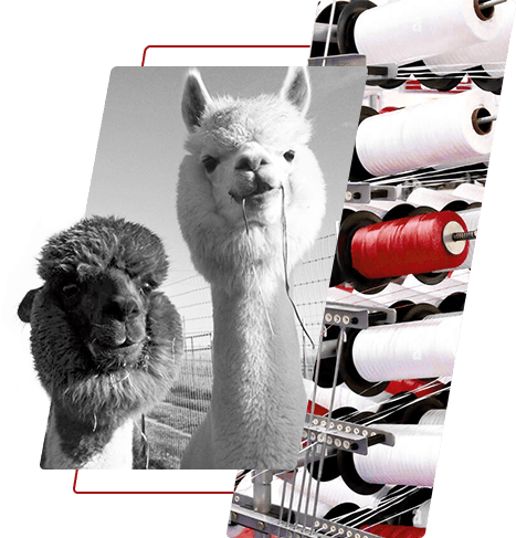 Farget polyestergarn