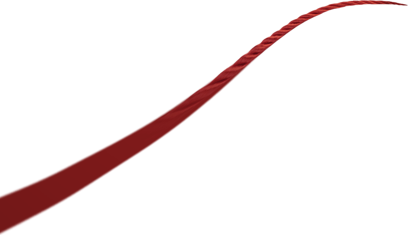 Tongxiang Baoyi Textile Co., Ltd.